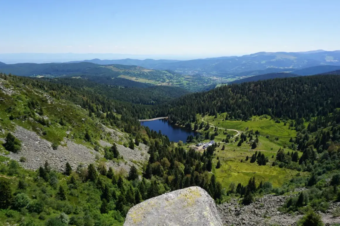 Vue panoramique sur un lac entouré de forêts denses, typique des 14 sommets des Vosges. Le ciel est clair et bleu.