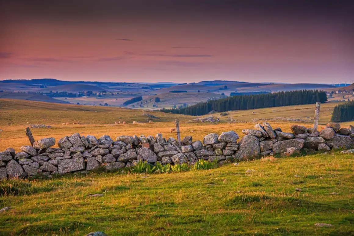 Paysage vallonné de l'altitude Aubrac, avec un muret de pierres sèches au premier plan et des collines ondulantes à l'horizon sous un ciel orangé.