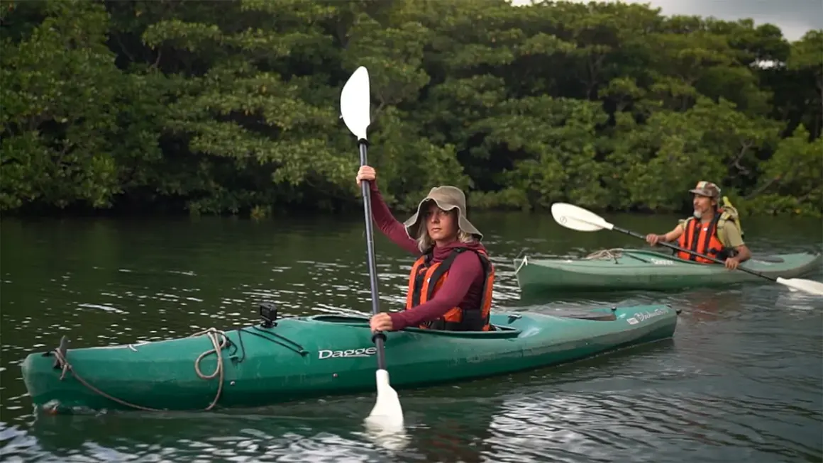 Deux kayakistes naviguent sur une rivière bordée de mangroves sur l'île Iriomote.