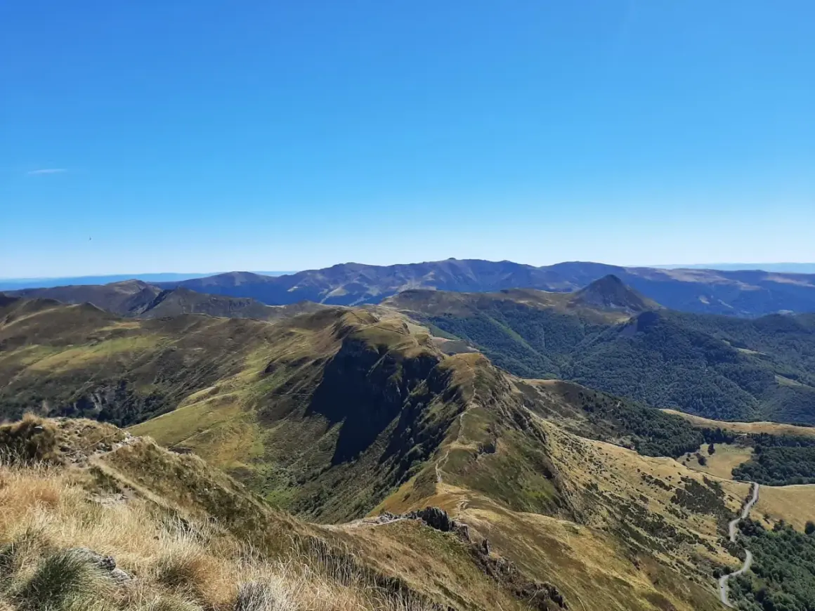 Vue panoramique sur les montagnes du puy Cantal, avec des crêtes herbeuses et des forêts verdoyantes sous un ciel bleu éclatant.