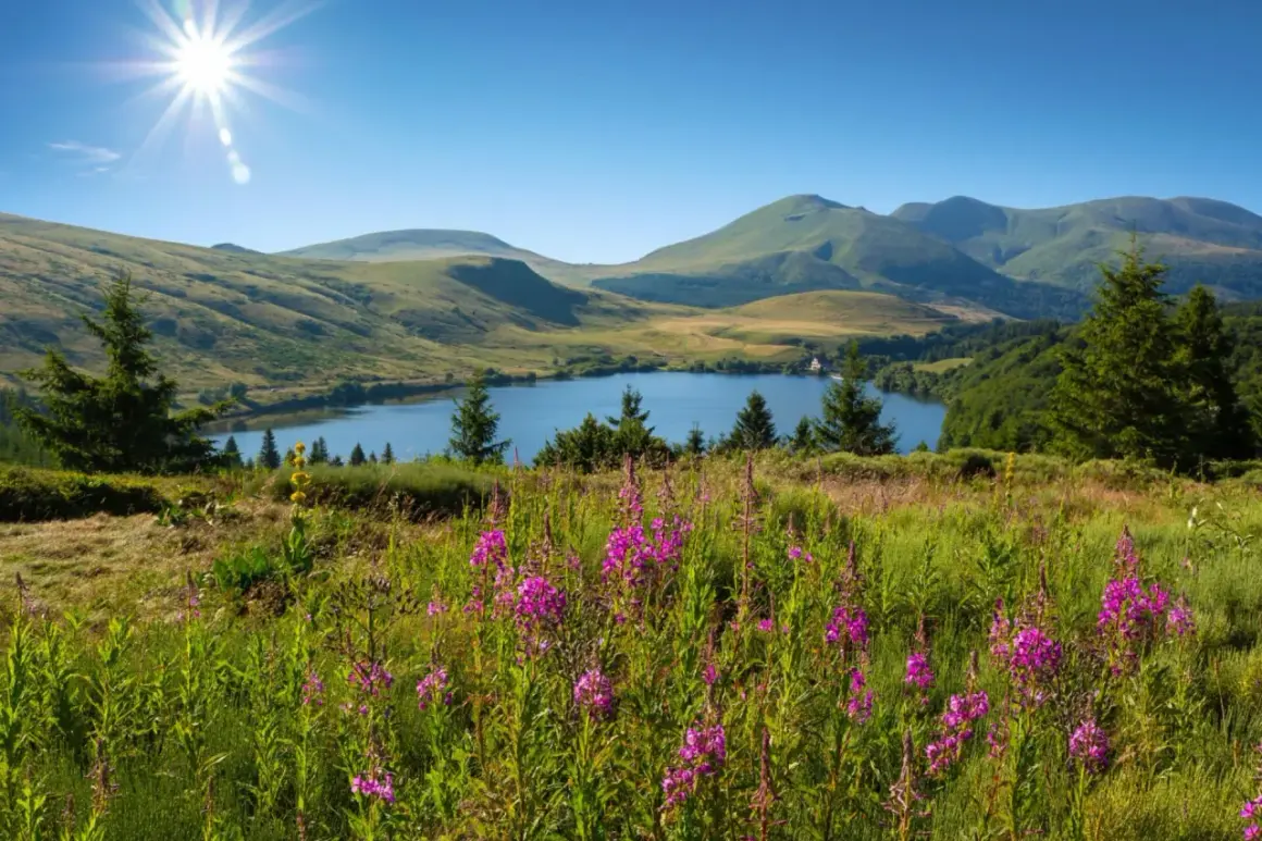 Un lac d'Auvergne baigné de soleil, entouré de collines verdoyantes et de fleurs sauvages roses.