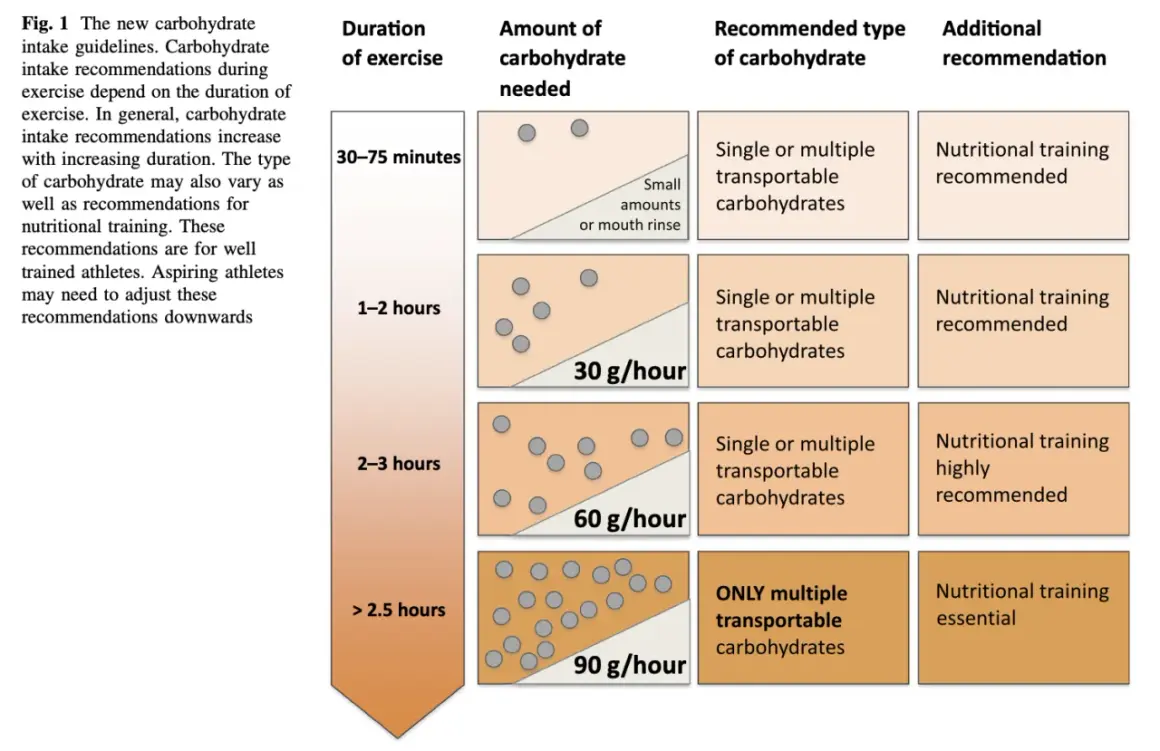 Tableau des recommandations glucide par heure trail : plus l'effort est long, plus les glucides sont nécessaires. Entraînement nutritionnel recommandé.