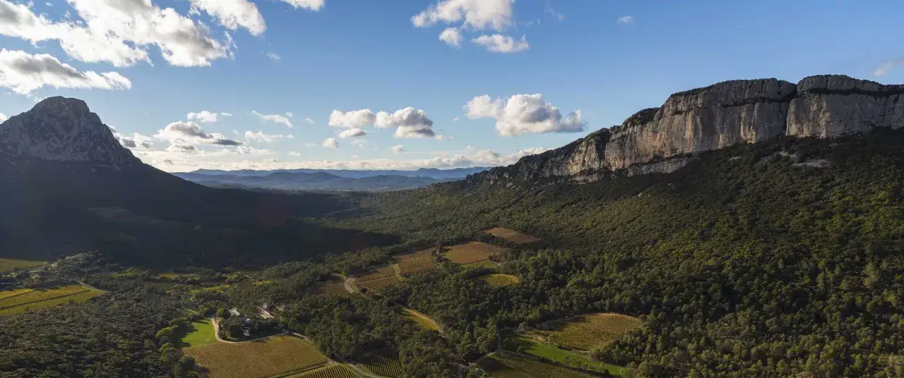 Paysage de vignobles et de for&ecirc;ts au pied du Pic Saint-Loup, avec un d&eacute;nivel&eacute; impressionnant.
