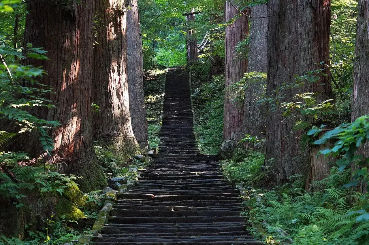 Escaliers de pierre menant vers le ciel, bordés de séquoias géants. Un chemin sacré, peut-être celui des Dewa Sanzan, invitant à la contemplation.