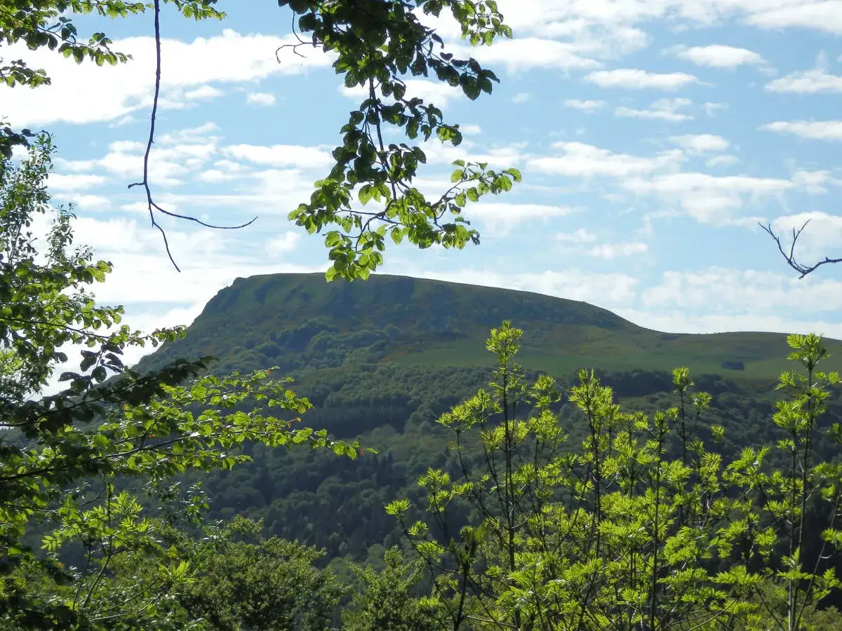 Vue sur le puy gros, une colline verdoyante sous un ciel bleu parsemé de nuages blancs. Des branches feuillues encadrent le paysage.