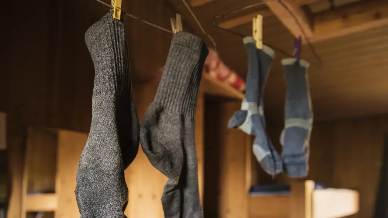 Des chaussettes sèchent sur une corde à linge. Pour savoir comment éviter de transpirer des pieds, pensez à choisir des matières respirantes.