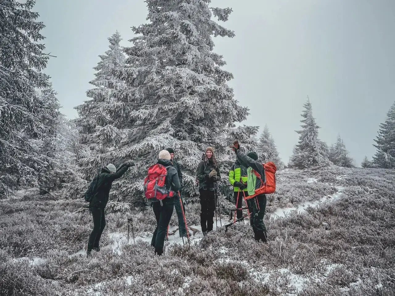 Groupe de randonneurs en tenue d'hiver, profitant d'une randonnée hivernale dans une forêt enneigée.