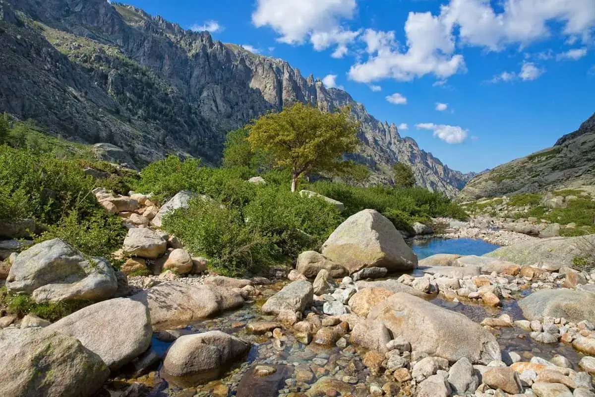 Un ruisseau serpente à travers des rochers et une végétation luxuriante, sous des montagnes escarpées. La Corse en novembre offre ce paysage paisible.