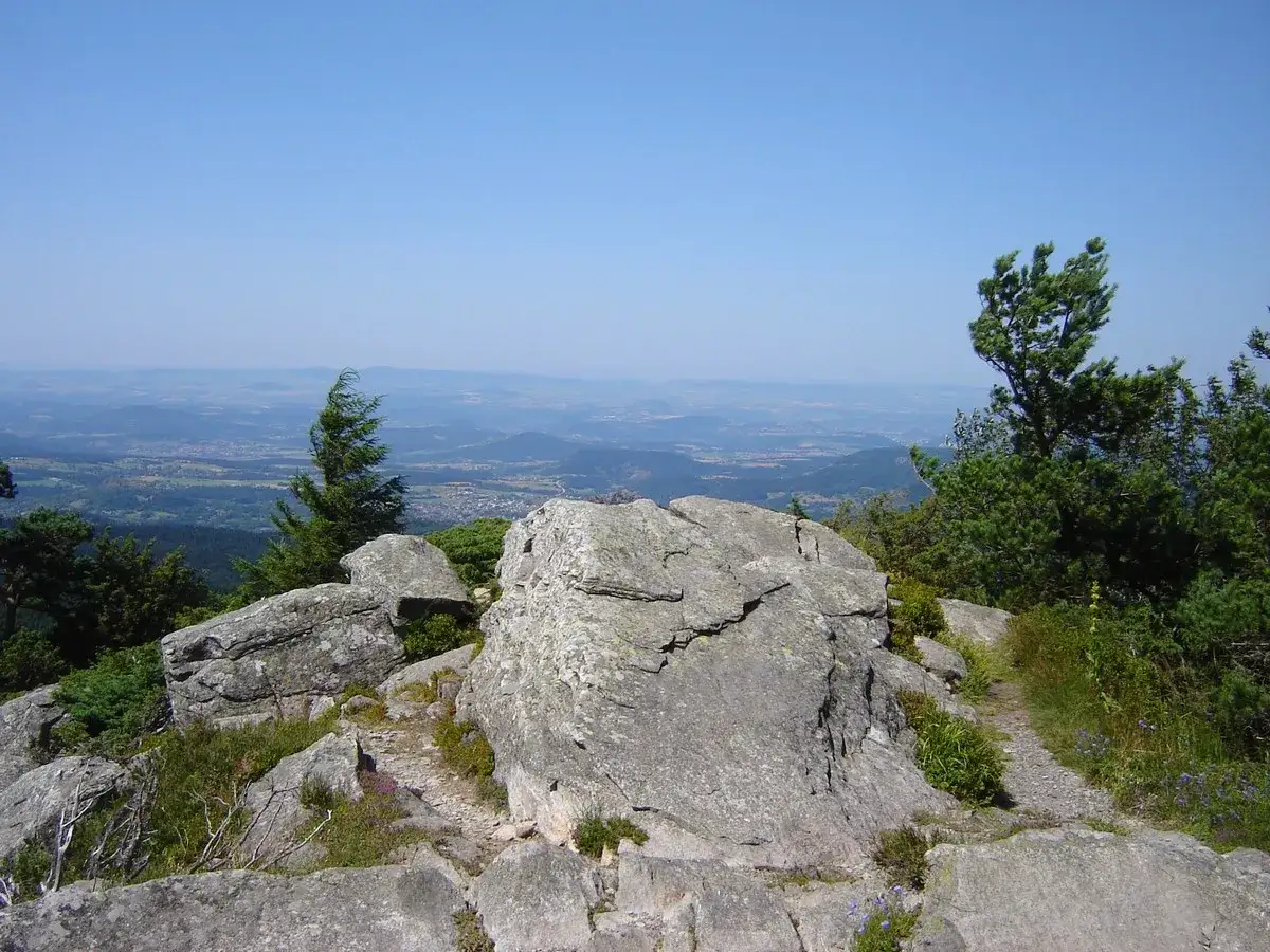 Vue panoramique depuis un sommet rocheux, avec un sentier sinueux et des pins. Un paysage vallonné s'étend à perte de vue, parfait pour le testavoyre.