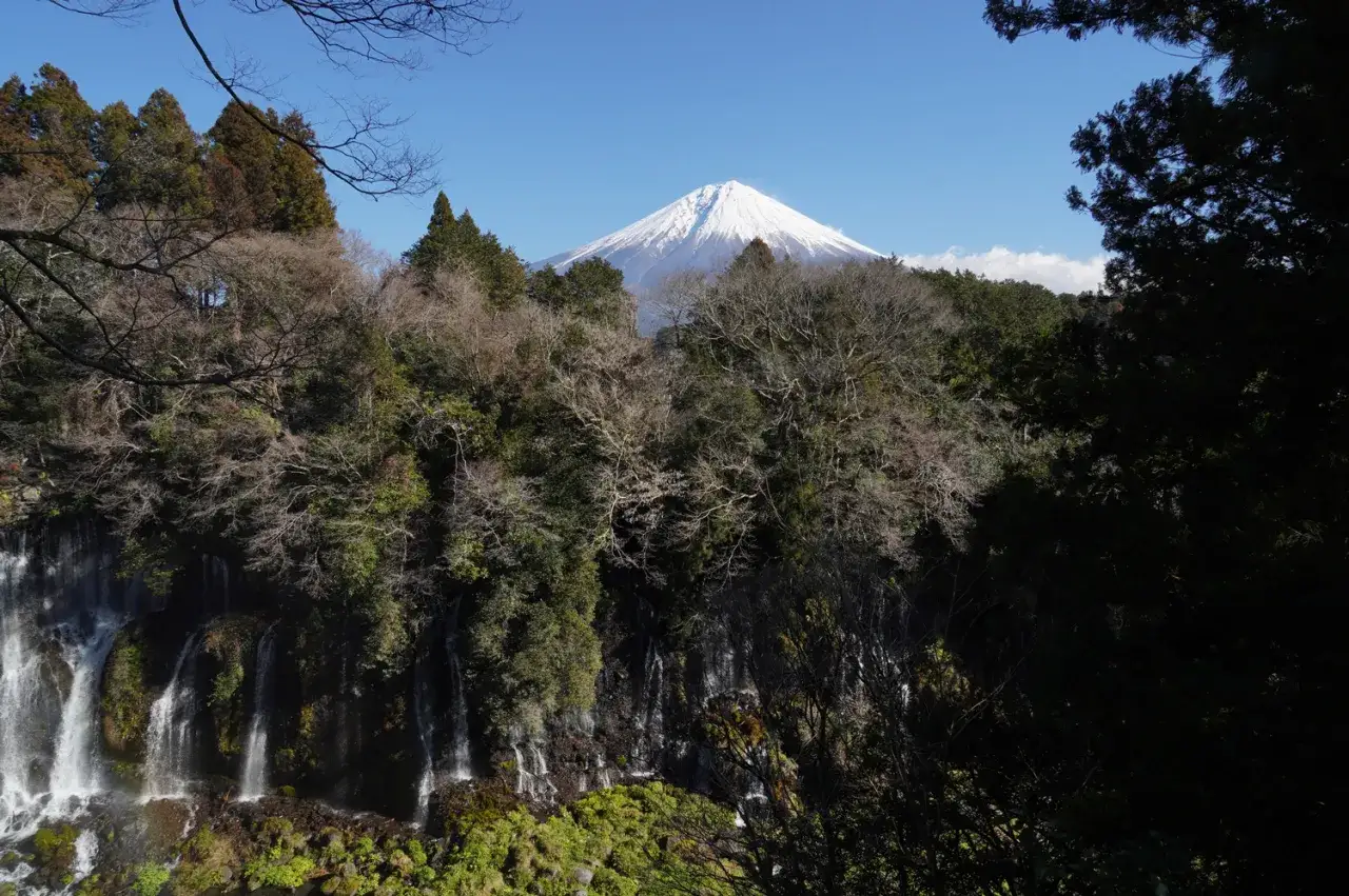 Les chutes Shiraito, un rideau d'eau tombant sur des rochers moussus, se dressent devant le majestueux Mont Fuji sous un ciel bleu éclatant.
