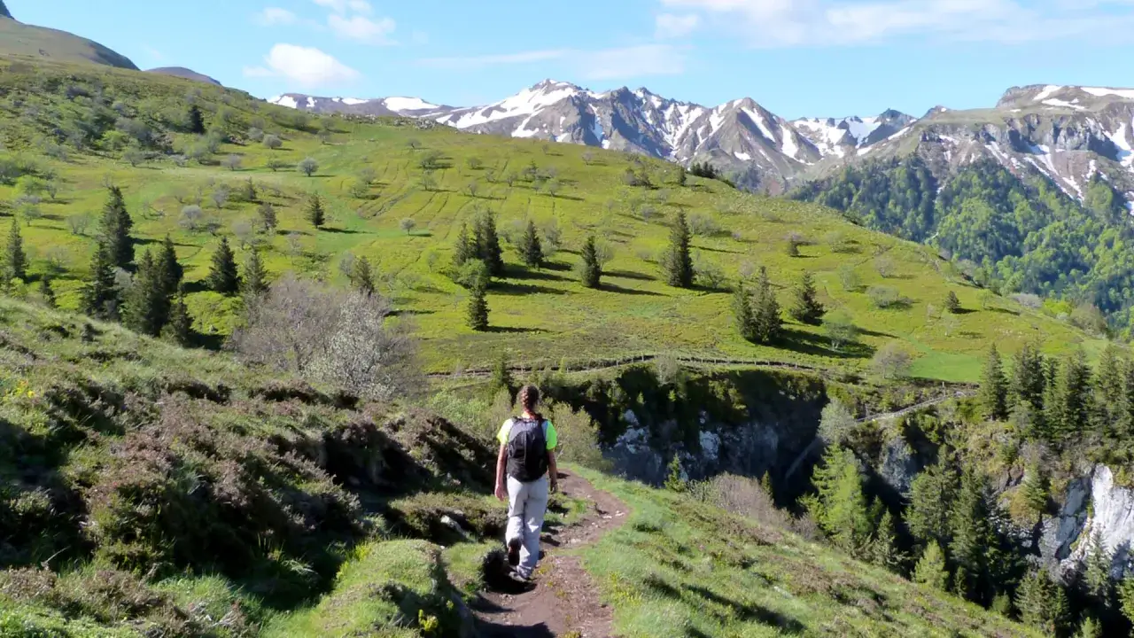 Une personne profite d'une randonnée en Auvergne, traversant un sentier verdoyant avec des montagnes enneigées en arrière-plan.