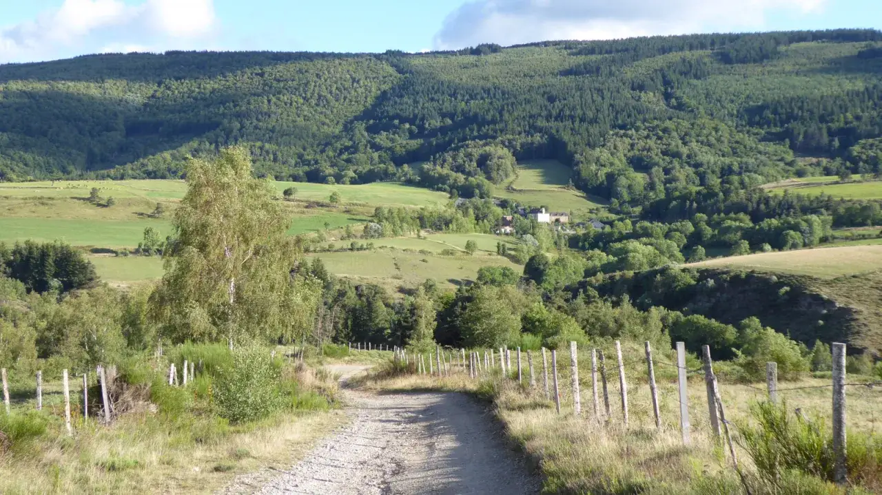 Chemin de terre menant vers le moure de la Gardille, paysage vallonné et boisé sous un ciel bleu.