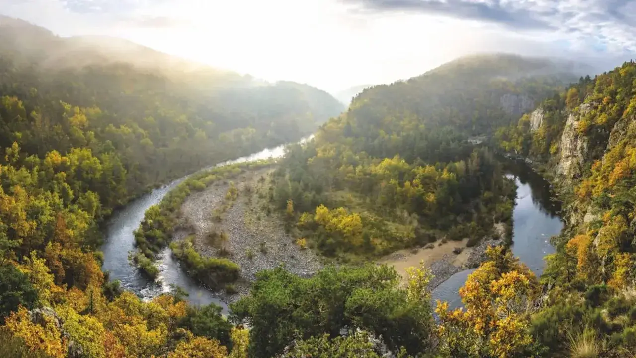 Vall&eacute;e verdoyante de l'Allier, parfaite pour savoir o&ugrave; aller en Auvergne l'&eacute;t&eacute;. La rivi&egrave;re serpente &agrave; travers les collines bois&eacute;es, baign&eacute;e par une douce lumi&egrave;re matinale.