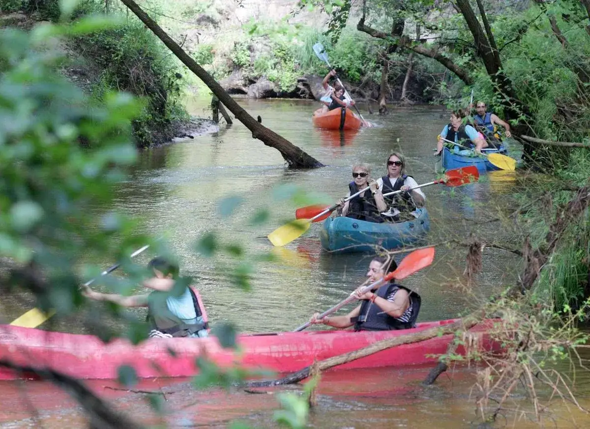 Descente de la Leyre en cano&euml; : des kayakistes profitent d'une balade paisible sur la rivi&egrave;re bord&eacute;e de verdure.