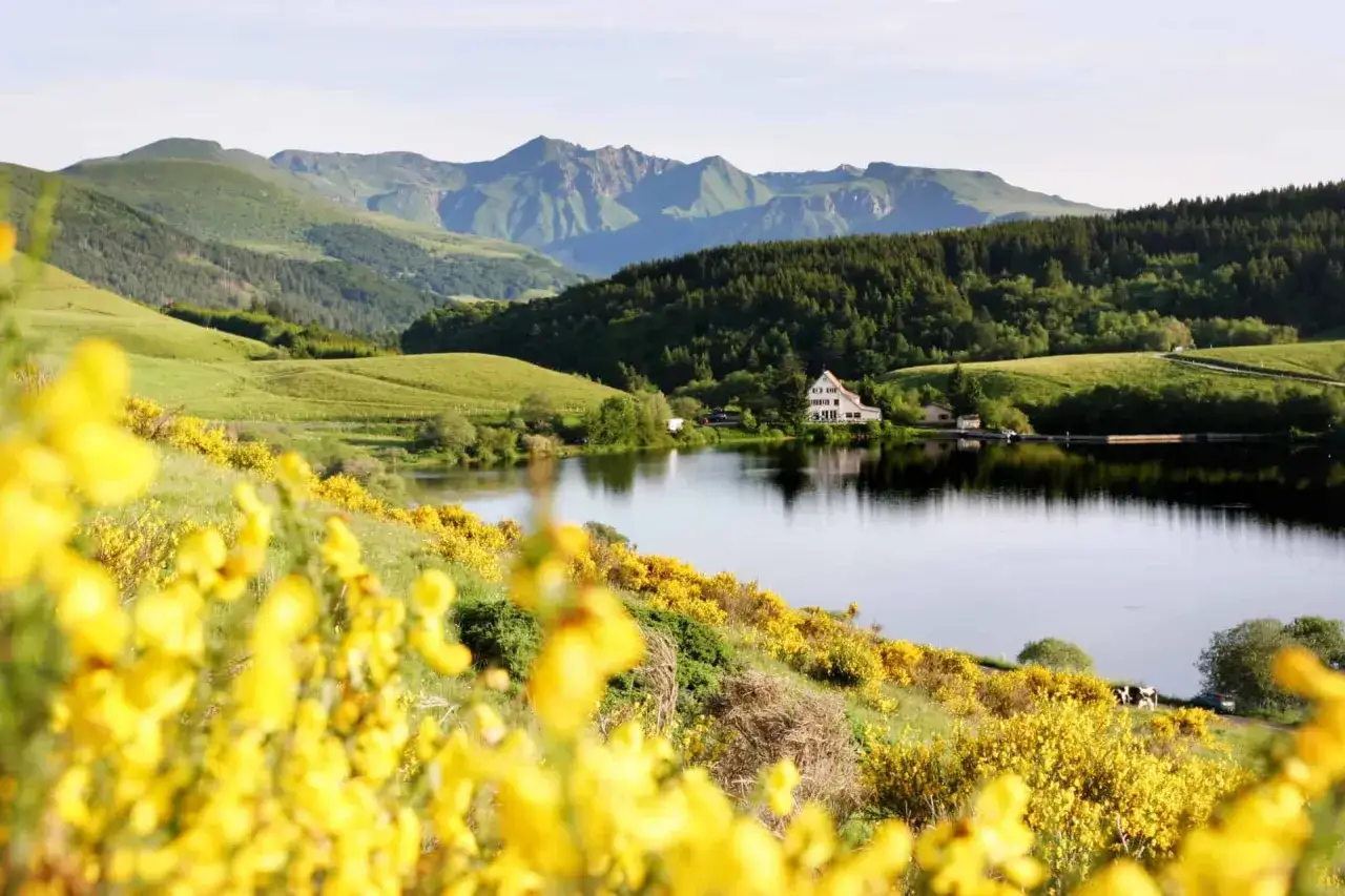 Le lac de Servièress'étend paisiblement, bordé de genêts en fleurs. Au loin, des montagnes verdoyantes se dressent, offrant un paysage pittoresque.