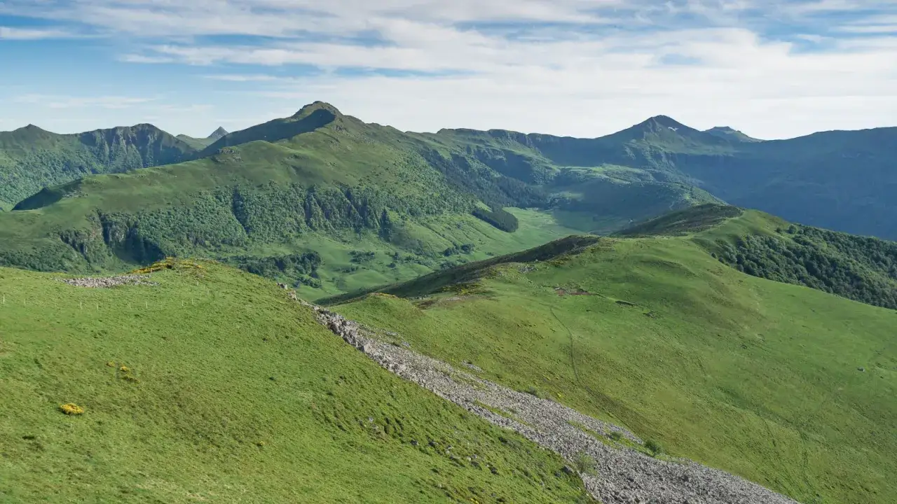 Vastes paysages verdoyants des monts du Cantal, avec le Puy de Niermont dominant à l'horizon.
