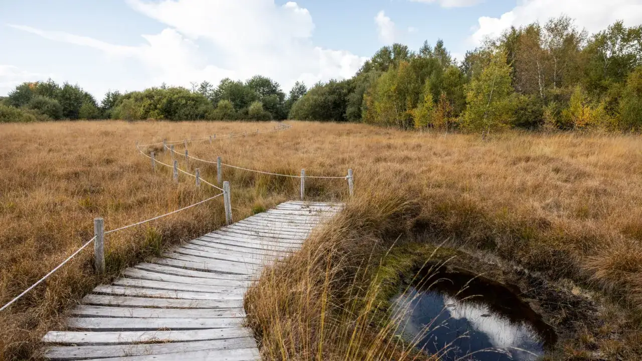 Chemin de bois serpentant dans les herbes sèches, menant vers le lac Estivadoux. Reflets du ciel dans une petite mare.