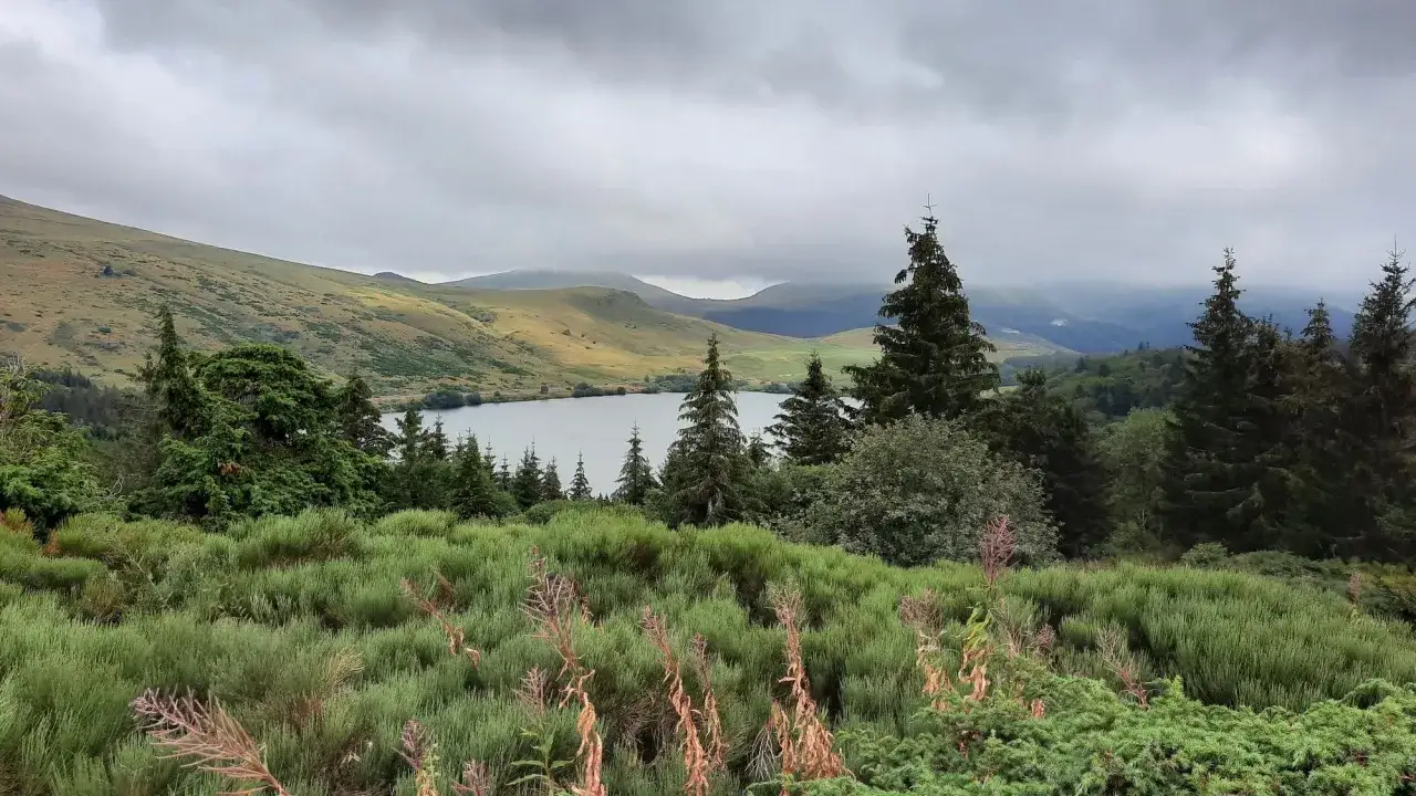 Vue paisible d'une randonn&eacute;e au lac de Gu&eacute;ry, avec des collines verdoyantes, des sapins et un ciel couvert.
