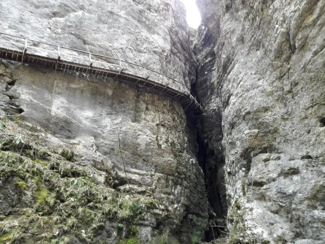 Passerelle en bois longeant les parois abruptes de la Pokljuka Gorge, un passage étroit et impressionnant.