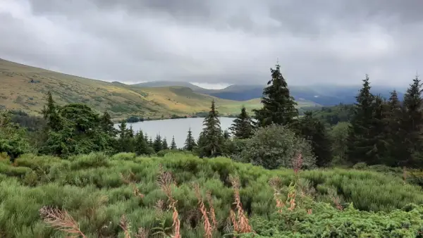 Vue paisible d'une randonnée au lac de Guéry, avec des collines verdoyantes, des sapins et un lac calme sous un ciel nuageux.