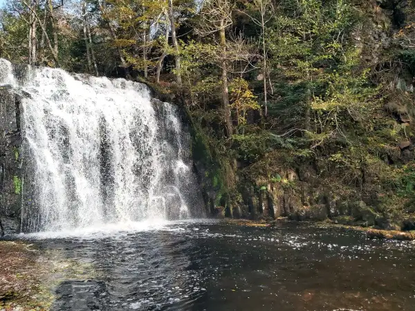 Cascade d'eau tombant dans un lac, entourée d'arbres aux couleurs d'automne. Le lac d'Entraigues reflète la beauté sauvage de la nature.