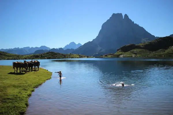 Chevaux près d'un lac de montagne, un enfant barbotant dans l'eau. La plus belle randonnée France 2 jours, paysage pyrénéen époustouflant.
