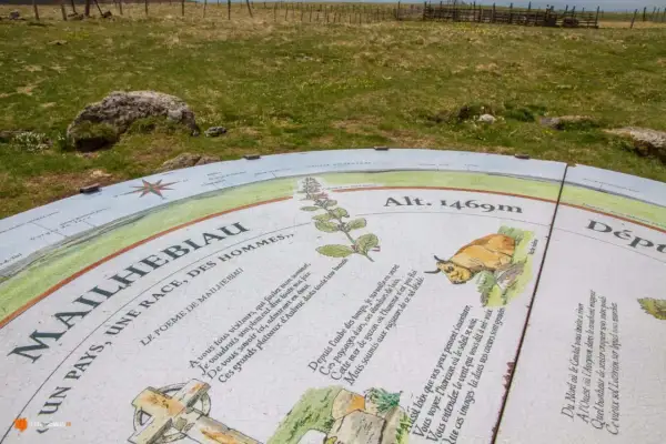 Panneau d'information au signal de Mailhebiau, altitude 1469m, avec poème et illustrations de paysages et d'une vache Aubrac.