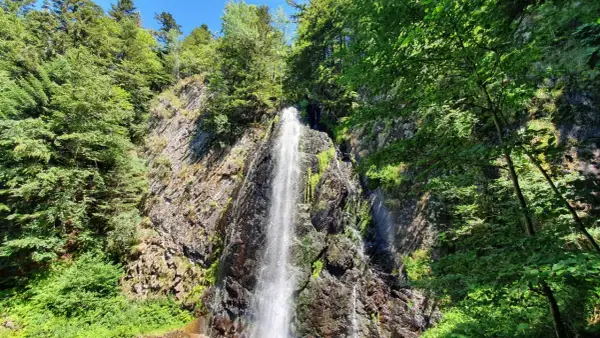 Une cascade 63 s'écrase sur une paroi rocheuse, entourée d'une végétation luxuriante et d'arbres verdoyants sous un ciel bleu.