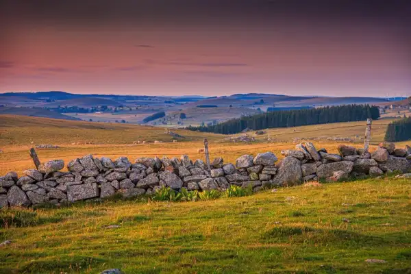 Paysage vallonné de l'altitude Aubrac, avec un muret de pierres sèches au premier plan et des collines ondulantes à l'horizon sous un ciel orangé.