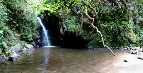 Cascade d'eau tombant dans un bassin aux gorges d'Enval, entourée de végétation luxuriante et de rochers moussus.