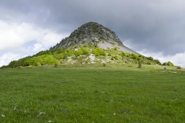 Le Mont Gerbier de Jonc se dresse fièrement sous un ciel orageux, ses pentes verdoyantes parsemées de fleurs sauvages.