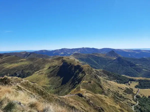 Vue panoramique sur les montagnes du puy Cantal, avec des crêtes herbeuses et des forêts verdoyantes sous un ciel bleu éclatant.