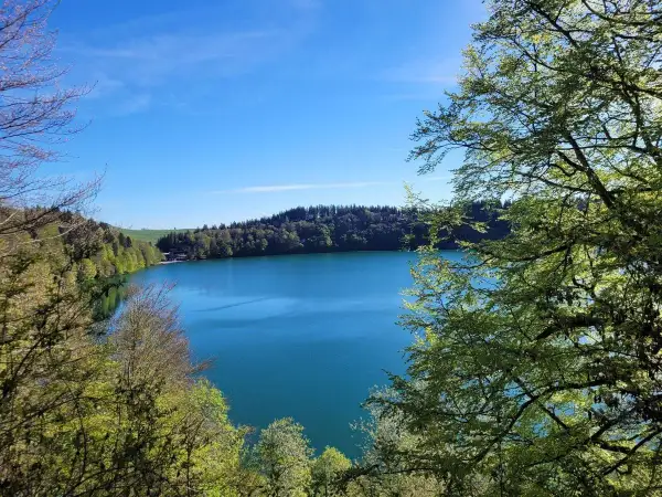 Vue magnifique d'une randonnée au lac Pavin, avec ses eaux bleues profondes entourées de forêts verdoyantes sous un ciel clair.